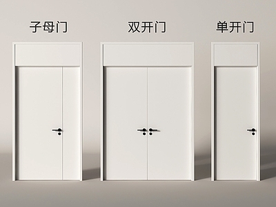 极简双开门 双开门 子母门 单开门 对开门 平开门