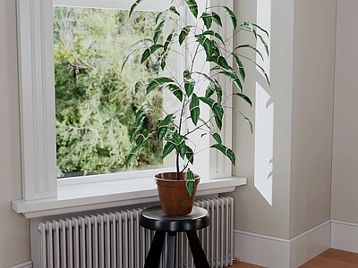 现代简约盆栽 绿植盆栽 盆景 植物盆栽 花盆绿植 室内盆栽