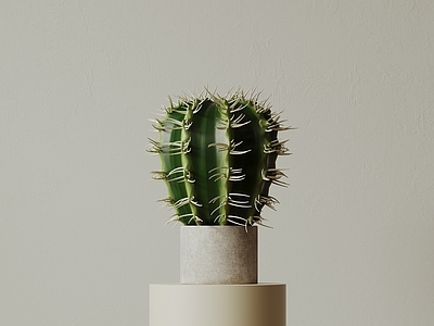 极简沙漠植物 现代中古花瓶花艺 新中式花瓶 侘寂风装饰品 极简玻璃花瓶 餐桌陶瓷花瓶