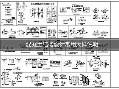 混凝土结构 混凝土结构设计 结构大样