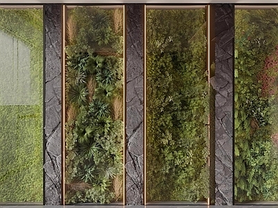 轻奢绿植墙 轻奢垂直绿化 植物墙
