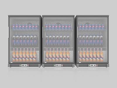 现代冰柜 冰柜 冷藏柜 冰冻柜 饮料柜 展示柜