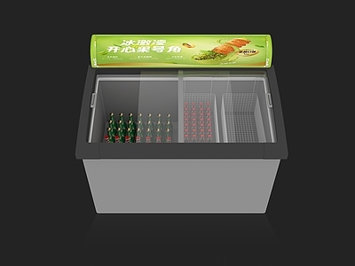 现代冰柜 冰柜 冷藏柜 冰冻柜 饮料柜 保鲜柜