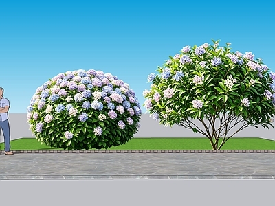 现代主义灌木 2D植物 丛生花灌木 锈球八仙花 绿化雕塑 绿植