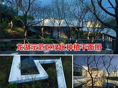 售楼处景观 示范区景观绿化 龙湖样板区种植