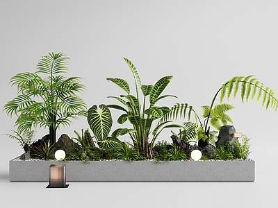 现代植物组合 外摆花箱 盆栽 花池花坛 植物堆 景观造景
