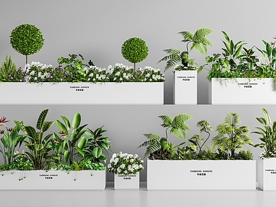 现代简约花境 外摆花箱 植物组合 盆栽 花池花坛 花草