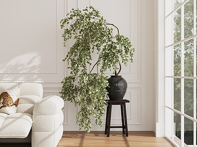 奶油风绿植摆件 绿植摆件 绿植摆件类 绿植摆件款 绿植摆件 绿植摆件组合