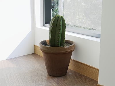 现代简约盆栽 绿植盆栽 盆景 植物盆栽 花盆绿植 室内盆栽