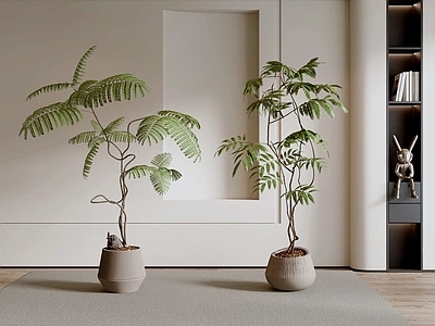 奶油风盆栽 绿植盆栽 盆景 植物盆栽 花盆绿植 室内盆栽