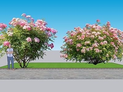 现代主义灌木 2D植物 丛生花灌木 蔷薇 绿化雕塑 绿植