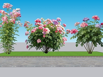 现代主义灌木 2D植物 丛生花灌木 蔷薇 绿化雕塑 绿植