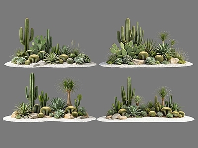 现代主义沙漠植物 2D仙人掌组合 多肉植物 仙人球 沙漠植物造景 景观植物