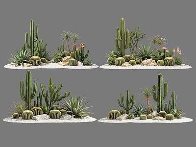 现代主义沙漠植物 2D仙人掌组合 多肉植物 仙人球 沙漠植物造景 景观植物