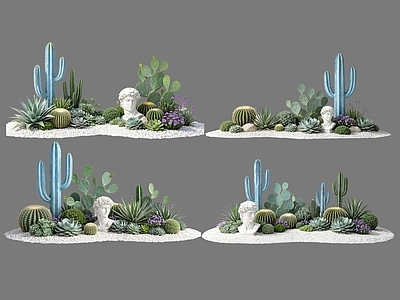 现代主义沙漠植物 2D仙人掌组合 多肉植物 仙人球 沙漠植物造景 景观植物