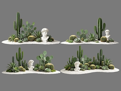 现代沙漠植物 2D仙人掌组合 多肉植物 仙人球 沙漠植物造景 景观植物