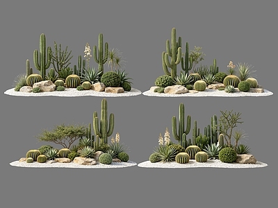 现代主义沙漠植物 2D仙人掌组合 多肉植物 仙人球 沙漠植物造景 景观植物