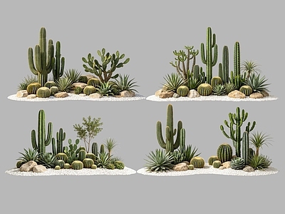现代主义沙漠植物 2D仙人掌组合 多肉植物 仙人球 沙漠植物造景 景观植物