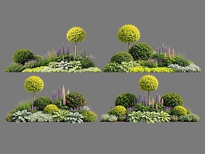 现代主义花境 2D花境植物组团 花卉花镜 花草镜植物组合 花草花丛 地被花灌木球