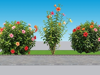 现代主义灌木 2D植物 丛生花灌木 扶桑 朱槿  绿化雕塑 绿植