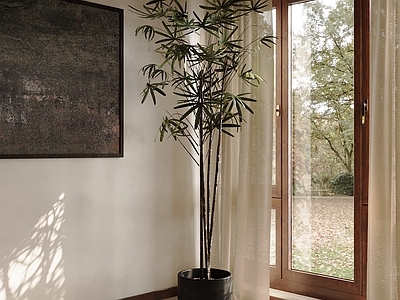 中古风盆栽 绿植盆栽 盆景 植物盆栽 花盆绿植 室内盆栽