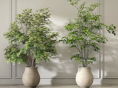 极简植物堆 现代盆栽绿植 侘寂中古盆景盆栽