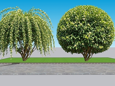 现代主义灌木 2D植物 丛生花灌木 含笑 绿化雕塑 绿植