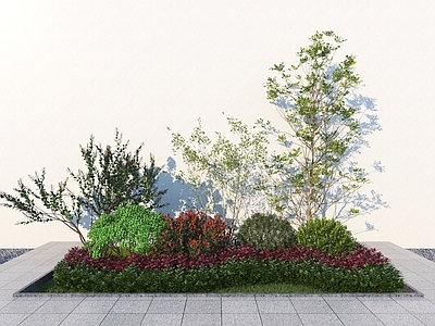 现代主义植物堆 现代植物组合 庭院植物