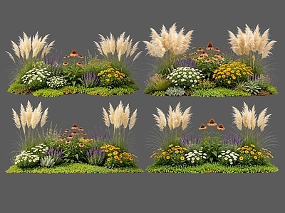 现代主义花境 2D花境植物组团 花卉花镜 花草镜植物组合 花草花丛 地被花灌木球