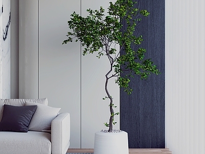 现代简约盆栽 绿植盆栽 盆景 植物盆栽 花盆绿植 室内盆栽