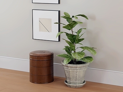 现代简约盆栽 绿植盆栽 盆景 植物盆栽 花盆绿植 室内盆栽