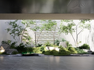 禅意室内景观 采光井景观 苔藓景观