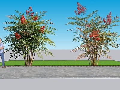 现代主义灌木 2D植物 观果类 南天竹 绿化雕塑 绿植