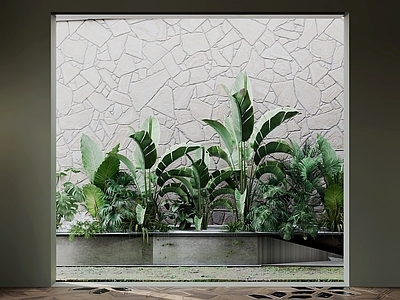 现代植物堆 植物堆 植物堆类 植物堆款 植物堆 植物堆组合