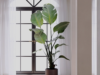 中古风盆栽 绿植盆栽 盆景 植物盆栽 花盆绿植 室内盆栽