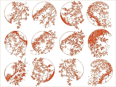 其他图库 半月花