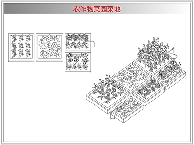 综合植物图库 农作物菜园菜地
