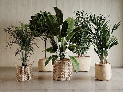 侘寂盆栽 户外植物 室内植物 现代植物盆栽组合