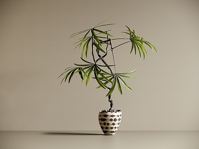极简盆栽 中古风绿植盆栽 艺术盆栽