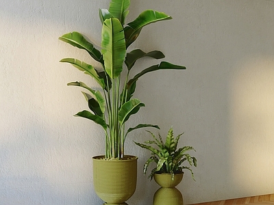 现代简约盆栽 盆栽 绿植 盆景 室内植物 植物摆件