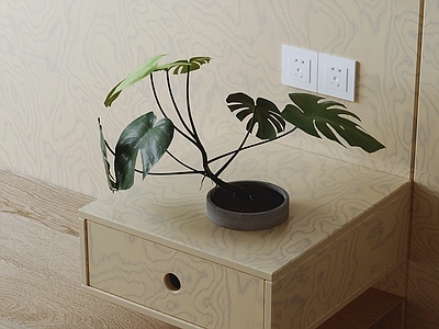 原木风绿植摆件 绿植摆件 植物摆件 室内绿植 盆栽 装饰绿植