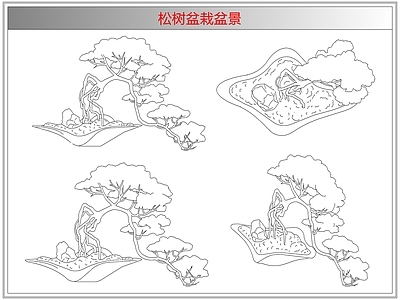 灌木种植 松树盆栽盆景
