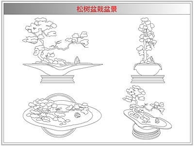 灌木种植 松树盆栽盆景