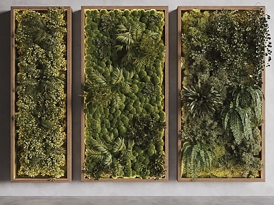 现代垂直绿化 现代植物墙 绿植墙 垂直绿化墙 苔藓装饰墙 植物墙