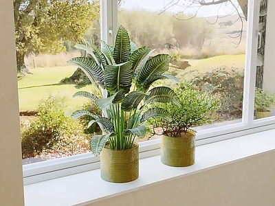 现代简约盆栽 盆栽 绿植 盆景 室内植物 植物摆件