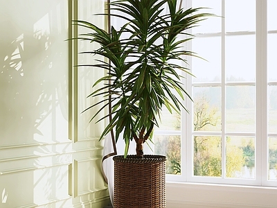 现代简约盆栽 盆栽 绿植 盆景 室内植物 植物摆件