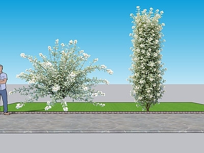 现代灌木 2D植物 观果类雪果 绿化雕塑 绿植 绿化