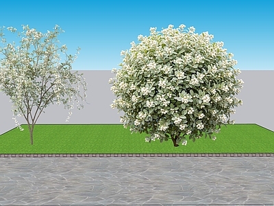 现代主义灌木 2D植物 观果类雪果 绿化雕塑 绿植 绿化