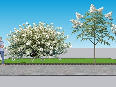 现代主义植物组合 2D植物 观果类雪果 绿化雕塑 绿植 绿化