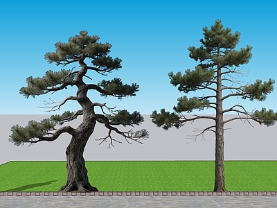 新中式景观乔木 2D植物 黑松 景观树 观赏树 枯木造型